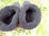 Chaussons en peau de mouton de couleur noire effet huilé avec semelles de caoutchouc