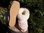 Chaussons en peau de mouton tannage végétale avec   semelles 5 mm